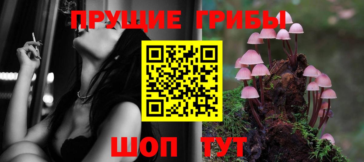 Галлюциногенные грибы прущие грибы  Вход с VPN  Сибай  Псилоцибиновые грибы MAGIC MUSHROOMS 